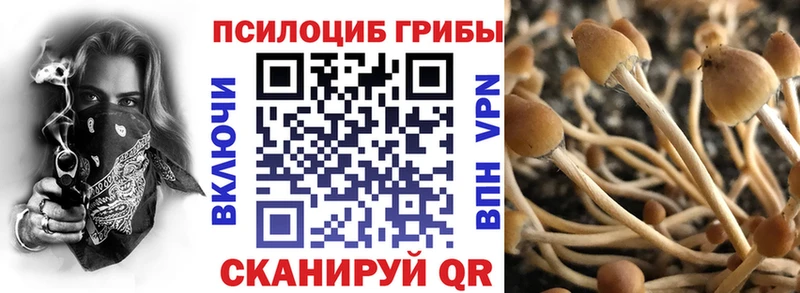 Псилоцибиновые грибы мицелий  Купить закладки  Арзамас 